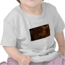 Bison Tshirt