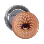 bitey badge button