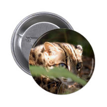 BL008 BUTTONS