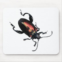 Black and Red Beetle bug Mouse Mats