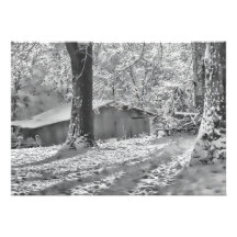 Black and White Backlit Rural Snow Scene Invite