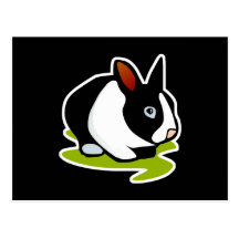 black and white bunny rabbit post card