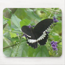 Black and White Butterfly Mouse Pad