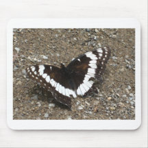 black and white butterfly mouse pads