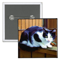 Black and White Cat button