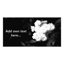 Black and white flower post card photo greeting card