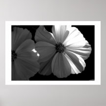 Black and White Half Sun Poster