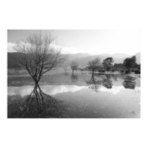 Black and White lake posters