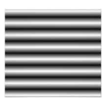 black and white Line pattern Photograph