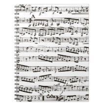 Black and white musical notes journal