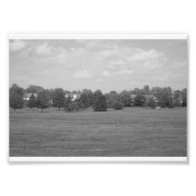Black and White Park Photo