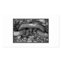 Black and white picture of chain. business card template