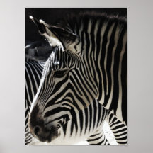 black and white poster