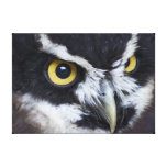 Black and White Specacled Owl Gallery Wrapped Canvas