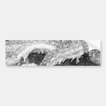 Black and White Starfish Bumper Sticker
