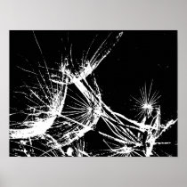 Black and White whisps Posters