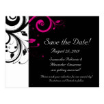 Black and White with Magenta Swirl Accent Post Card