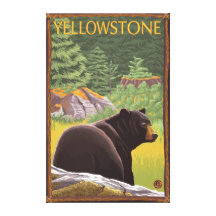 Black Bear in Forest - Yellowstone National Park Gallery Wrapped Canvas