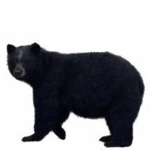 BLACK BEAR sculpted Wildlife Art Gift Cut Outs