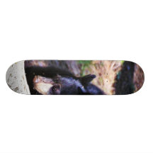 Black Bears Furry Skate Boards