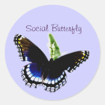 Black Butterfly Round Stickers