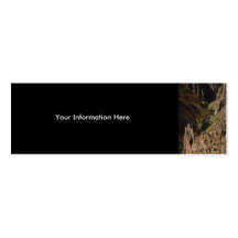 black canyon business card