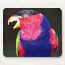 Black-capped lori mousepads