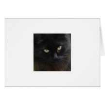 Black Cat Dreams - Mijo Greeting Cards