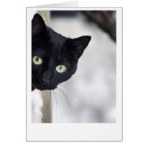 Black Cat Greeting Card
