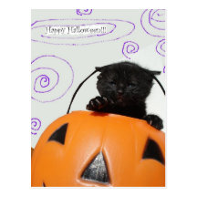 Black Cat Happy Halloween Postcard
