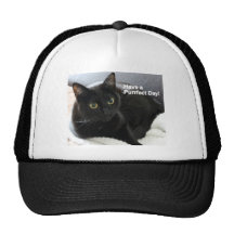 Black Cat Purrfect Day Apparel Hats