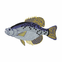Black Crappie