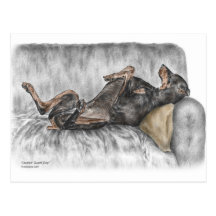 Black Doberman Pinscher Guard Dog Postcard