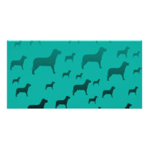 Black dogs pattern customized photo card