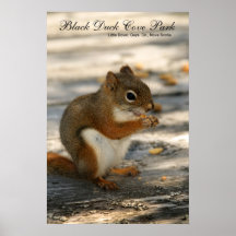 Black Duck Cove Park Print