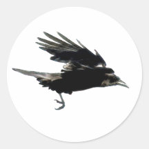 BLACK FLYING CROW Sticker Series