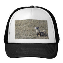 Black-Footed Ferret Mesh Hat