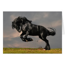 Black Friesian Horse Running Free Card