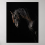 Black Horse Print