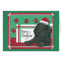 Black Lab Christmas Card