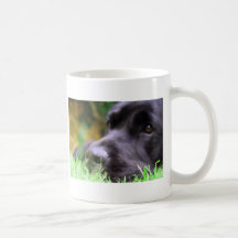 black lab mug