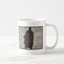 black lab snow storm mugs