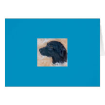 Black Labrador Cards