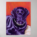 Black Labrador Painting Print