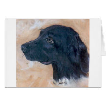 Black Labrador Retriever Greeting Card