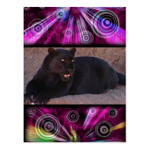 BLACK LEOPARD POST CARD