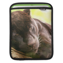 Black Panther Sleeping IPad Sleeve