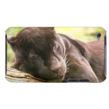 Black Panther Sleeping iTouch Case Barely There iPod Cover