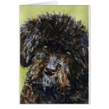 Black Poodle Card