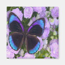 Black, Purple and Blue Butterfly Fridge Magnet